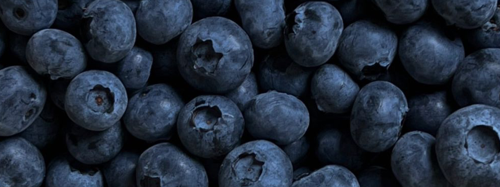 Eine scharfe Detailaufnahme von Blaubeeren.