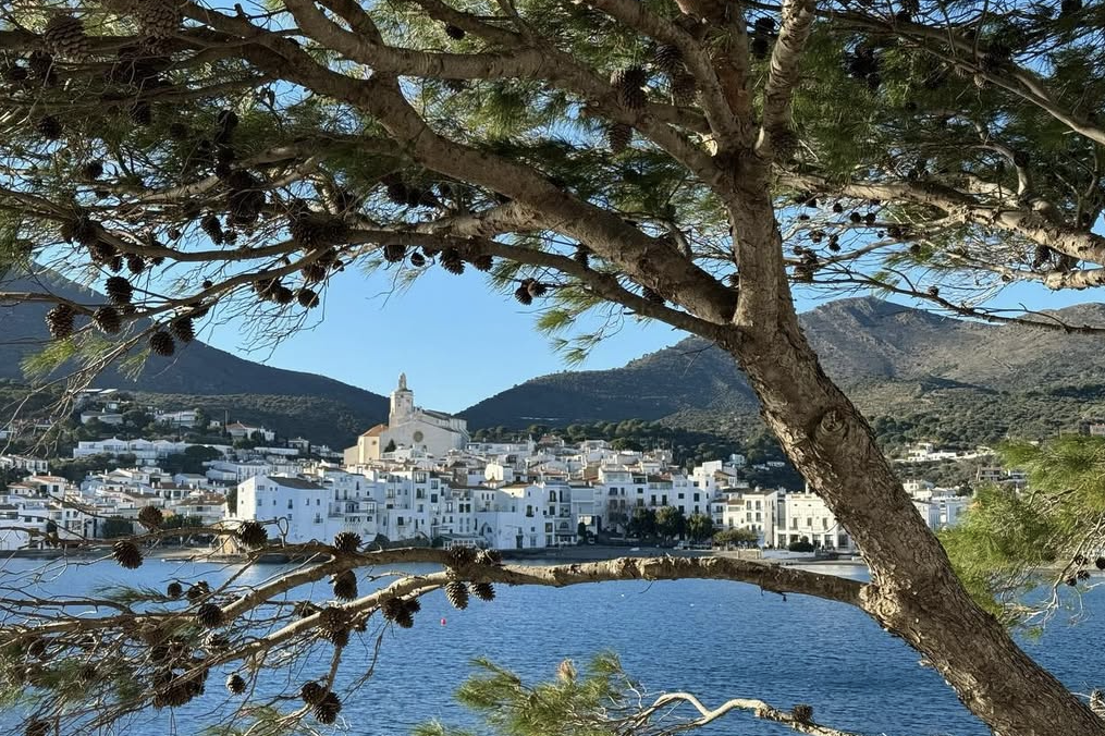 Fotografie der Architektur im spanischen Küstenort Cadaques in strahlendem blau und Sonnenschein durch einen Baum.