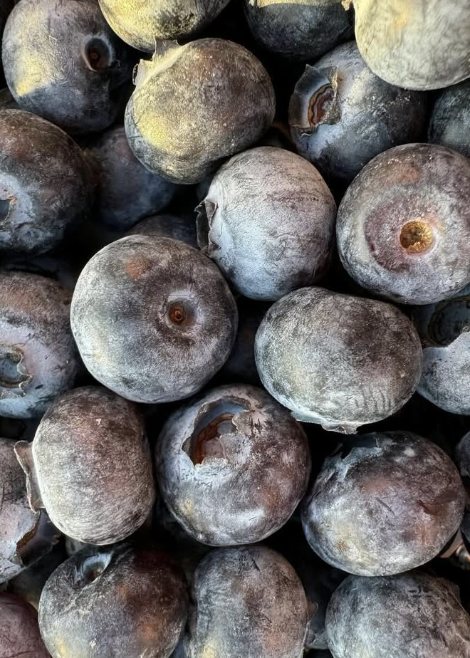 Detailaufnahme von vielen (ca.20) frischen  Blaubeeren.